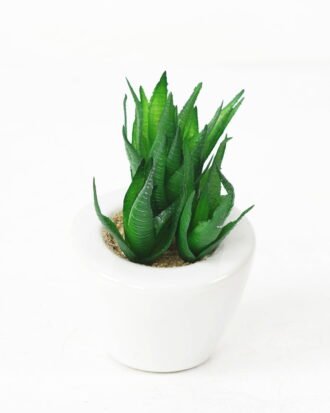 Artificial succulent 8*10cm Succulent in ceramic pot GS-51721140 Succulent YeahFlower is one of Chinese leading OEM manufacturers and exporters , supplying the silk flowers, wholesale artificial trees