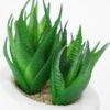 Artificial succulent 8*10cm Succulent in ceramic pot GS-51721140 Succulent YeahFlower is one of Chinese leading OEM manufacturers and exporters , supplying the silk flowers, wholesale artificial trees