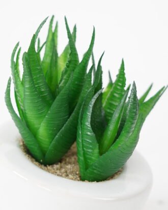 Artificial succulent 8*10cm Succulent in ceramic pot GS-51721140 Succulent YeahFlower is one of Chinese leading OEM manufacturers and exporters , supplying the silk flowers, wholesale artificial trees