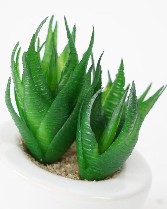 Artificial succulent 8*10cm Succulent in ceramic pot GS-51721140 Succulent YeahFlower is one of Chinese leading OEM manufacturers and exporters , supplying the silk flowers, wholesale artificial trees