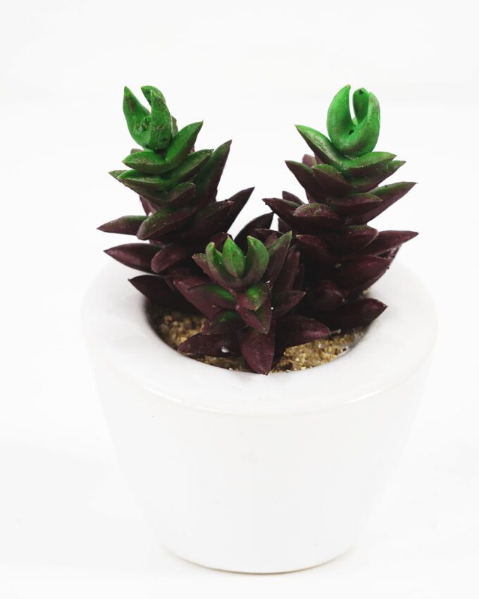 Artificial succulent 6*10cm Succulent in ceramic pot GS-51721141 Succulent YeahFlower is one of Chinese leading OEM manufacturers and exporters , supplying the silk flowers, wholesale artificial trees