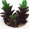 Artificial succulent 6*10cm Succulent in ceramic pot GS-51721141 Succulent YeahFlower is one of Chinese leading OEM manufacturers and exporters , supplying the silk flowers, wholesale artificial trees