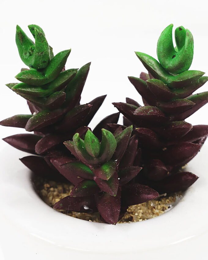 Artificial succulent 6*10cm Succulent in ceramic pot GS-51721141 Succulent YeahFlower is one of Chinese leading OEM manufacturers and exporters , supplying the silk flowers, wholesale artificial trees
