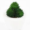 Artificial succulent 6*9cm Succulent in ceramic pot GS-51721142 Succulent YeahFlower is one of Chinese leading OEM manufacturers and exporters , supplying the silk flowers, wholesale artificial trees