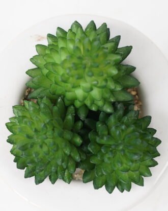 Artificial succulent 6*9cm Succulent in ceramic pot GS-51721142 Succulent YeahFlower is one of Chinese leading OEM manufacturers and exporters , supplying the silk flowers, wholesale artificial trees