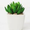 Artificial succulent 9*11cm Succulent in ceramic pot GS-51721143 Succulent YeahFlower is one of Chinese leading OEM manufacturers and exporters , supplying the silk flowers, wholesale artificial trees
