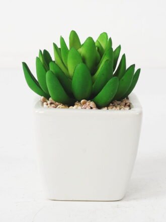 Artificial succulent 6*9cm Succulent in ceramic pot GS-51721142 Succulent 3,000+ sqm showroom with thousands of artificial flowers, plants & trees ready for global sourcing.