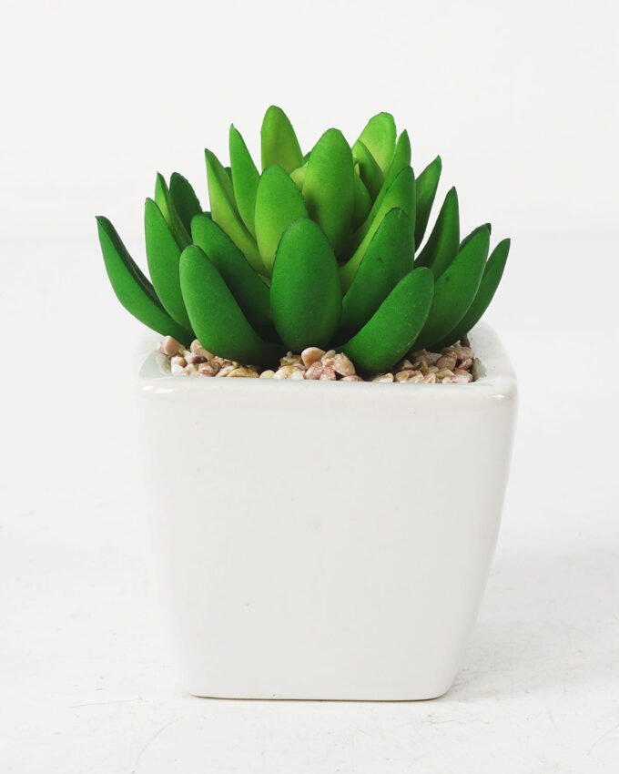 Artificial succulent 9*11cm Succulent in ceramic pot GS-51721143 Succulent YeahFlower is one of Chinese leading OEM manufacturers and exporters , supplying the silk flowers, wholesale artificial trees