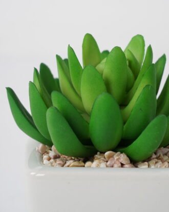 Artificial succulent 9*11cm Succulent in ceramic pot GS-51721143 Succulent YeahFlower is one of Chinese leading OEM manufacturers and exporters , supplying the silk flowers, wholesale artificial trees