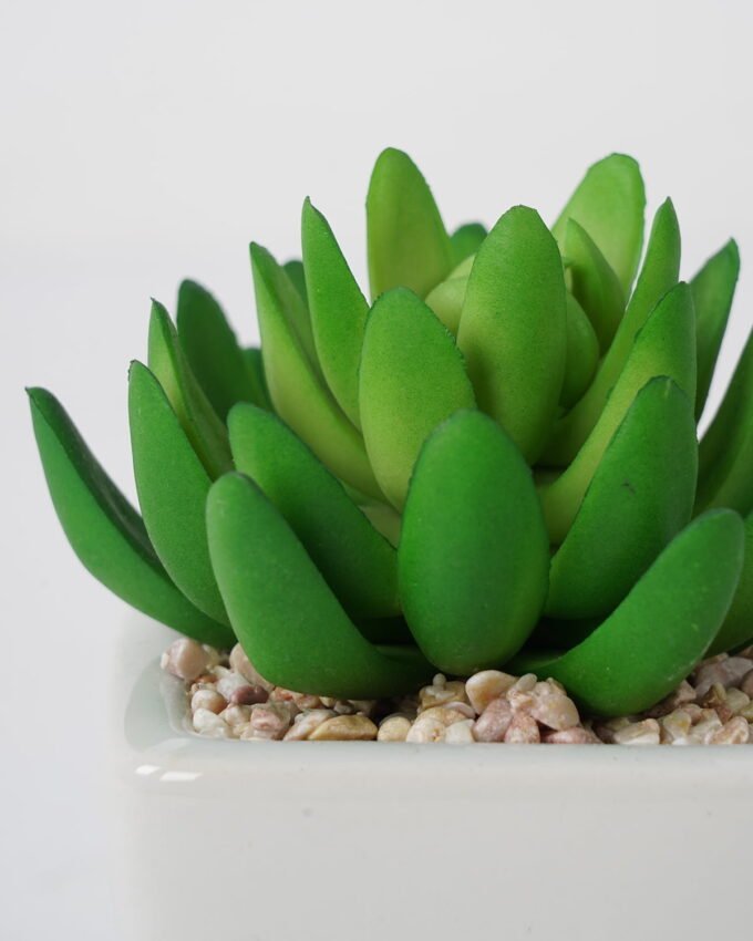 Artificial succulent 9*11cm Succulent in ceramic pot GS-51721143 Succulent YeahFlower is one of Chinese leading OEM manufacturers and exporters , supplying the silk flowers, wholesale artificial trees