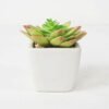 Artificial succulent 9*10cm Succulent in ceramic pot GS-51721144 Succulent YeahFlower is one of Chinese leading OEM manufacturers and exporters , supplying the silk flowers, wholesale artificial trees