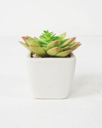 Artificial succulent 9*10cm Succulent in ceramic pot GS-51721144 Succulent YeahFlower is one of Chinese leading OEM manufacturers and exporters , supplying the silk flowers, wholesale artificial trees