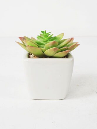 Artificial succulent 9*10cm Succulent in ceramic pot GS-51721145 Succulent 3,000+ sqm showroom with thousands of artificial flowers, plants & trees ready for global sourcing.