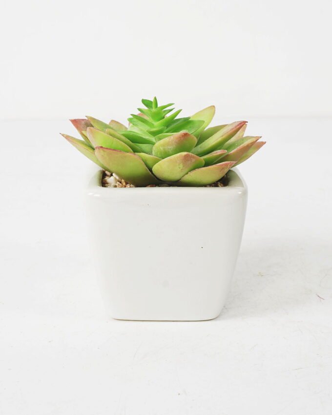 Artificial succulent 9*10cm Succulent in ceramic pot GS-51721144 Succulent YeahFlower is one of Chinese leading OEM manufacturers and exporters , supplying the silk flowers, wholesale artificial trees
