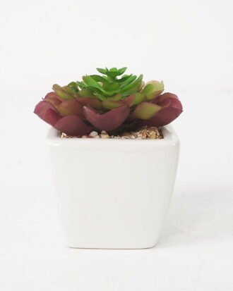 Artificial succulent 9*10cm Succulent in ceramic pot GS-51721145 Succulent YeahFlower is one of Chinese leading OEM manufacturers and exporters , supplying the silk flowers, wholesale artificial trees