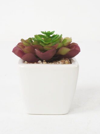 Artificial succulent 8*13cm Succulent in ceramic pot GS-51721146 Succulent 3,000+ sqm showroom with thousands of artificial flowers, plants & trees ready for global sourcing.