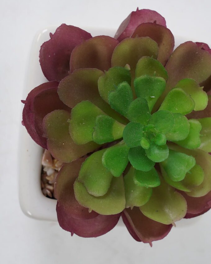 Artificial succulent 9*10cm Succulent in ceramic pot GS-51721145 Succulent YeahFlower is one of Chinese leading OEM manufacturers and exporters , supplying the silk flowers, wholesale artificial trees