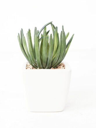 Artificial succulent 9*10cm Succulent in ceramic pot GS-51721145 Succulent 3,000+ sqm showroom with thousands of artificial flowers, plants & trees ready for global sourcing.