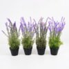 Artificial Flower 48cm Lavender in pot GS-05521173 Potted Flowers&Plants YeahFlower is one of Chinese leading OEM manufacturers and exporters , supplying the silk flowers, wholesale artificial trees