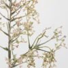 Artificial Flower 18*74cm Babysbreath spray(S) GS-27921017 Single Flowers YeahFlower is one of Chinese leading OEM manufacturers and exporters , supplying the silk flowers, wholesale artificial trees