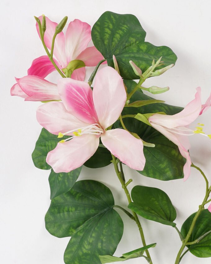 Artificial Flower 30*83cm Bauhinia spray*2 GS-14521145 Single Flowers YeahFlower is one of Chinese leading OEM manufacturers and exporters , supplying the silk flowers, wholesale artificial trees