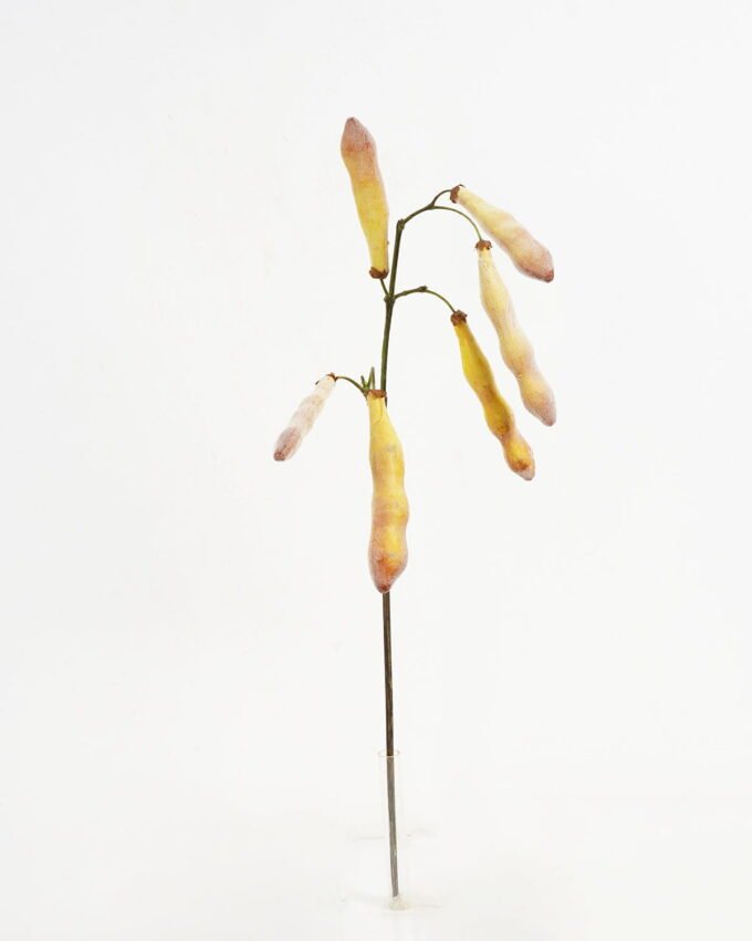 Artificial Flower 17*65cm Lentil(S) GVC-21-2760 Single Flowers YeahFlower is one of Chinese leading OEM manufacturers and exporters , supplying the silk flowers, wholesale artificial trees