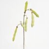 Artificial Flower 17*65cm Lentil(S) GVC-21-2760 Single Flowers YeahFlower is one of Chinese leading OEM manufacturers and exporters , supplying the silk flowers, wholesale artificial trees