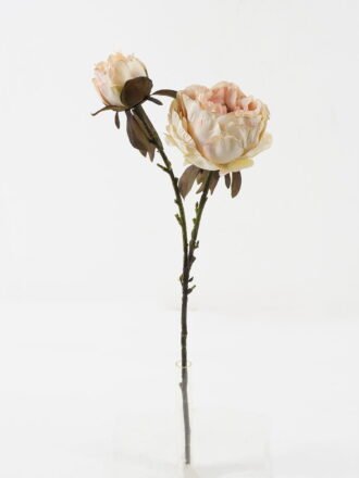 Artificial Flower Peony with burnt edges Spray*2 GS-25821006-K1 Single Flowers 3,000+ sqm showroom with thousands of artificial flowers, plants & trees ready for global sourcing.
