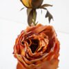 Artificial Flower Peony with burnt edges Spray 2 GS-25821006_2 Artificial Flower Peony with burnt edges Spray*2 GS-25821006 Single Flowers YeahFlower is one of Chinese leading OEM manufacturers and exporters , supplying the silk flowers, wholesale artificial trees