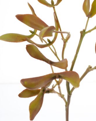 Artificial Flower 17*58cm Portulacaceae spray GVC-22-2860 Single Flowers YeahFlower is one of Chinese leading OEM manufacturers and exporters , supplying the silk flowers, wholesale artificial trees