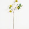 Artificial Flower 30*76cm Single Apple GVC-21-2759 Single Flowers YeahFlower is one of Chinese leading OEM manufacturers and exporters , supplying the silk flowers, wholesale artificial trees
