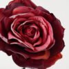 Artificial Flower 10*63cm Single  Big dry roses GS-25821003-R1 Single Flowers YeahFlower is one of Chinese leading OEM manufacturers and exporters , supplying the silk flowers, wholesale artificial trees