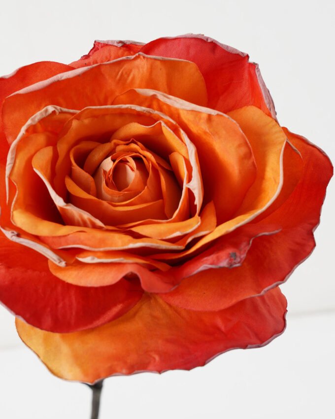 Artificial Flower 10*63cm Single  Big dry roses GS-25821003 Single Flowers YeahFlower is one of Chinese leading OEM manufacturers and exporters , supplying the silk flowers, wholesale artificial trees