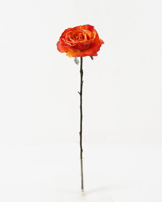 Artificial Flower 10*63cm Single  Big dry roses GS-25821003 Single Flowers YeahFlower is one of Chinese leading OEM manufacturers and exporters , supplying the silk flowers, wholesale artificial trees