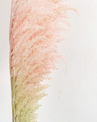 Artificial Flower 13*107cm Single Coral reed(L) GS-27921020 Single Flowers YeahFlower is one of Chinese leading OEM manufacturers and exporters , supplying the silk flowers, wholesale artificial trees