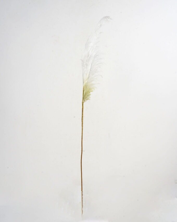 Artificial Flower 13*107cm Single Coral reed(M) GS-27921021 Single Flowers YeahFlower is one of Chinese leading OEM manufacturers and exporters , supplying the silk flowers, wholesale artificial trees