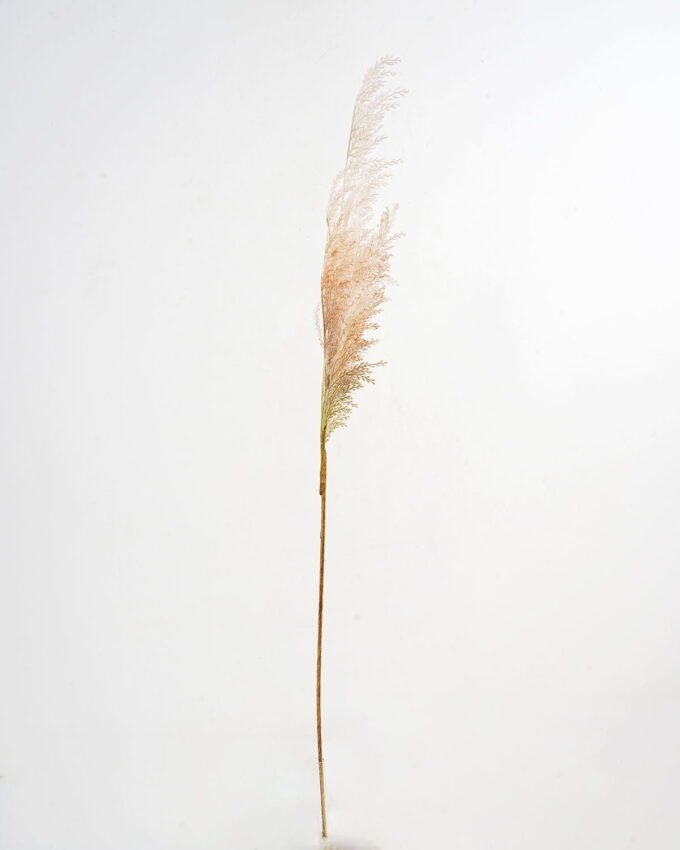 Artificial Flower 13*107cm Single Coral reed(M) GS-27921021 Single Flowers YeahFlower is one of Chinese leading OEM manufacturers and exporters , supplying the silk flowers, wholesale artificial trees