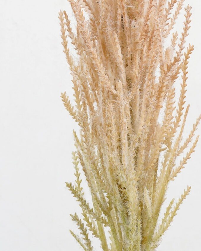 Artificial Flower 6*78cm Single Reed GS-27921024 Single Flowers YeahFlower is one of Chinese leading OEM manufacturers and exporters , supplying the silk flowers, wholesale artificial trees