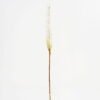 Artificial Flower 6*78cm Single Reed GS-27921024 Single Flowers YeahFlower is one of Chinese leading OEM manufacturers and exporters , supplying the silk flowers, wholesale artificial trees