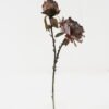 Artificial Flower 18*50cm Small peony with burnt edge Spray*2 GS-25821007-K1 Single Flowers YeahFlower is one of Chinese leading OEM manufacturers and exporters , supplying the silk flowers, wholesale artificial trees