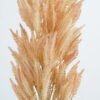 Artificial Flower Wheat bush 10 GS-27921025_2 Artificial Flower 13*95cm Wheat bush*10 GS-27921025 Single Flowers YeahFlower is one of Chinese leading OEM manufacturers and exporters , supplying the silk flowers, wholesale artificial trees