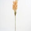 Artificial Flower Wheat bush 10 GS-27921025_3 Artificial Flower 13*95cm Wheat bush*10 GS-27921025 Single Flowers YeahFlower is one of Chinese leading OEM manufacturers and exporters , supplying the silk flowers, wholesale artificial trees