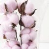 Artificial Flower cotton Bouquet 10 GS-33521015-P1_4 Artificial Flower 11*45cm cotton Bouquet*10 GS-33521015-P1 Bouquet YeahFlower is one of Chinese leading OEM manufacturers and exporters , supplying the silk flowers, wholesale artificial trees
