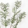 Artificial Flower 18*78cm floating fern spray*4 GVC-22-2859 Single Flowers YeahFlower is one of Chinese leading OEM manufacturers and exporters , supplying the silk flowers, wholesale artificial trees