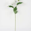 Artificial Flower 26*60cm mun spray*2 GS-14521147 Single Flowers YeahFlower is one of Chinese leading OEM manufacturers and exporters , supplying the silk flowers, wholesale artificial trees