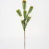 Artificial Flower pine needle with flowers GVC-22-2842_8 Artificial Flower 14*66cm pine needle with flowers GVC-22-2842 Single Flowers YeahFlower is one of Chinese leading OEM manufacturers and exporters , supplying the silk flowers, wholesale artificial trees