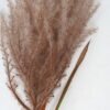 Artificial Grass 26*135cm Single Reed GS-63621004-K2 Single Flowers YeahFlower is one of Chinese leading OEM manufacturers and exporters , supplying the silk flowers, wholesale artificial trees