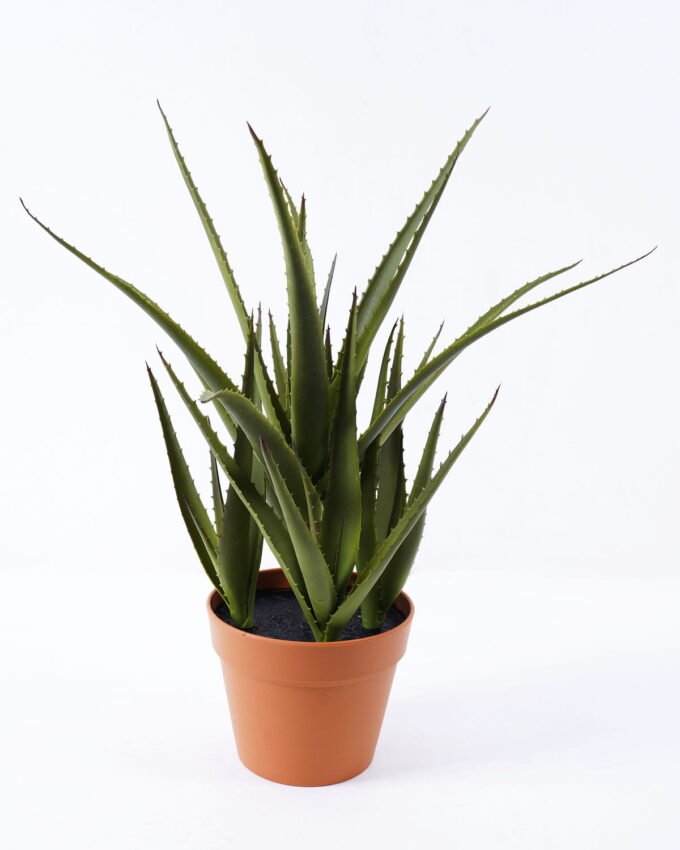 Artificial Plant 52*52*55cm Aloe*5 in pp pot/35lvs GS-59522003 Potted Flowers&Plants YeahFlower is one of Chinese leading OEM manufacturers and exporters , supplying the silk flowers, wholesale artificial trees