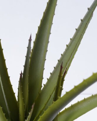 Artificial Plant 52*52*55cm Aloe*5 in pp pot/35lvs GS-59522003 Potted Flowers&Plants YeahFlower is one of Chinese leading OEM manufacturers and exporters , supplying the silk flowers, wholesale artificial trees