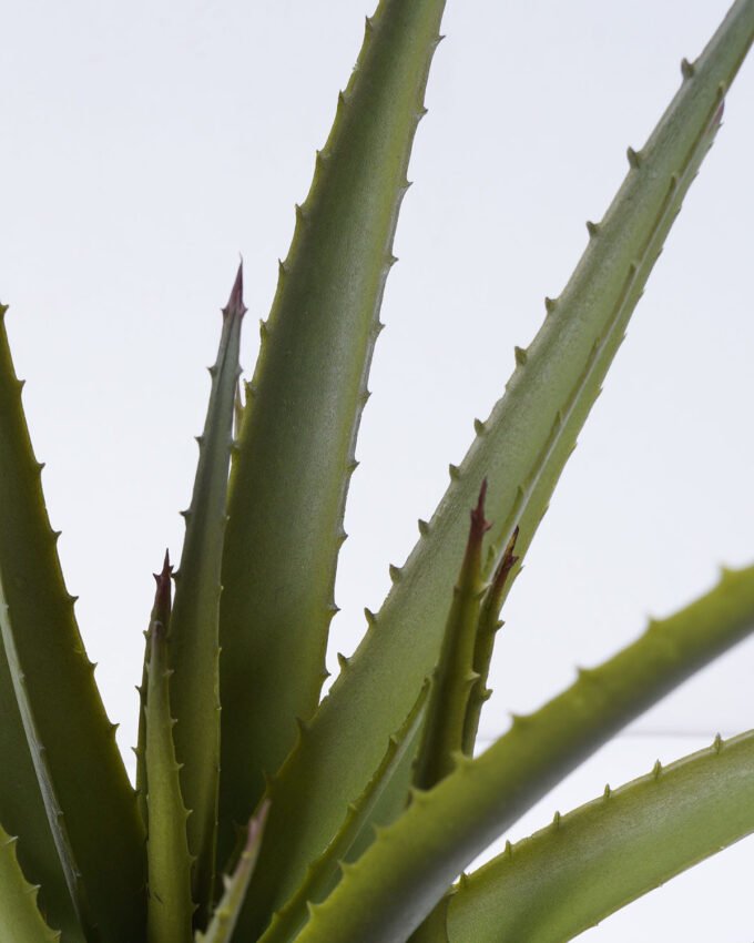 Artificial Plant 52*52*55cm Aloe*5 in pp pot/35lvs GS-59522003 Potted Flowers&Plants YeahFlower is one of Chinese leading OEM manufacturers and exporters , supplying the silk flowers, wholesale artificial trees